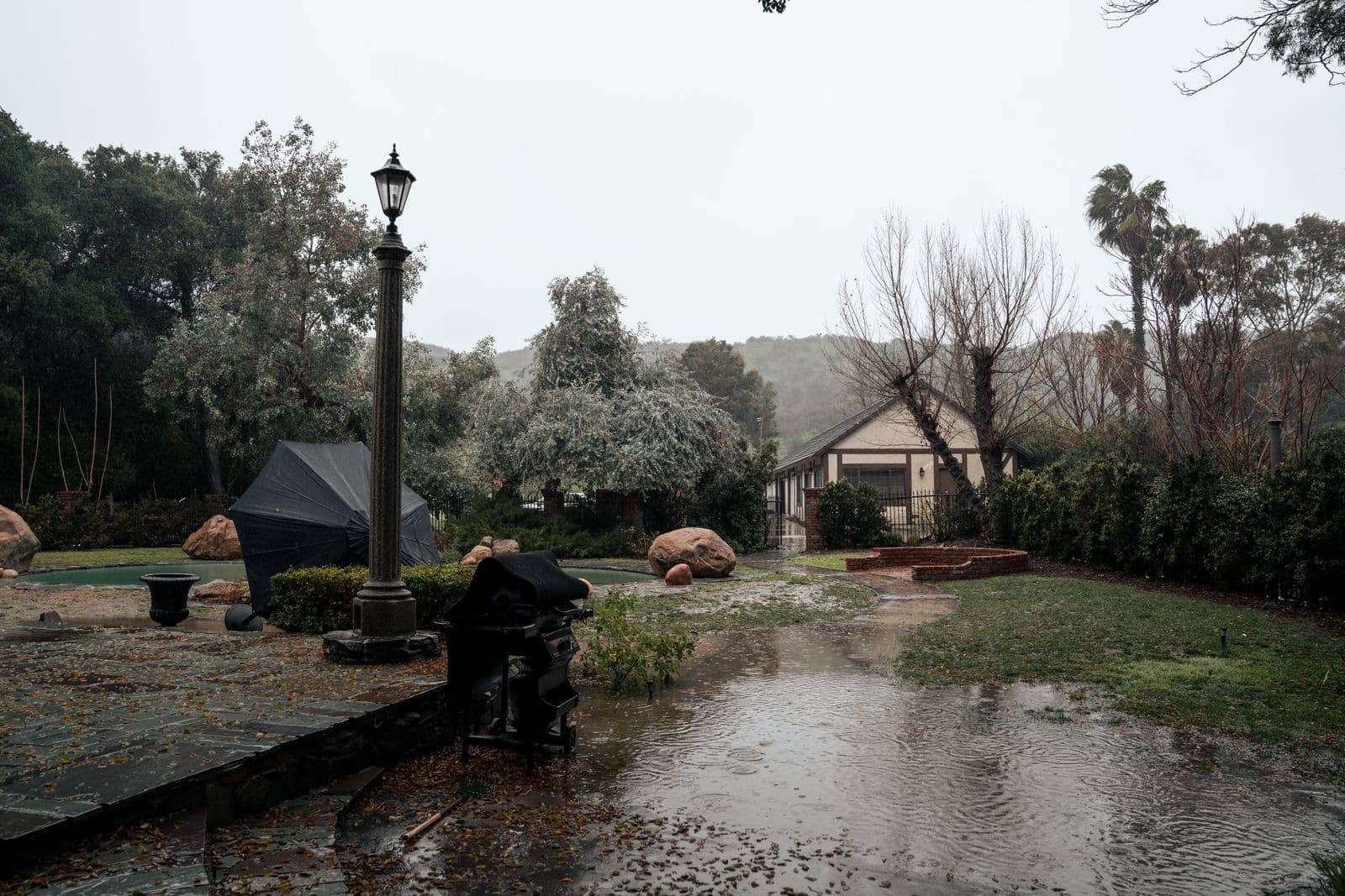 Backyard Drainage & Regrade — before