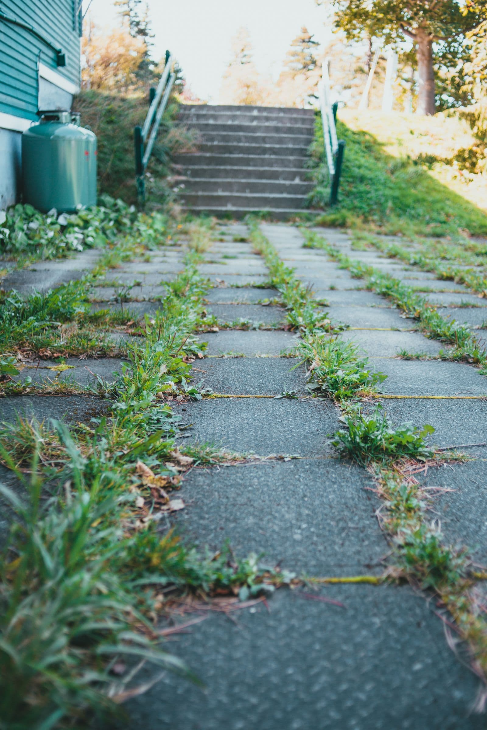 Front Yard Landscape Overhaul — before