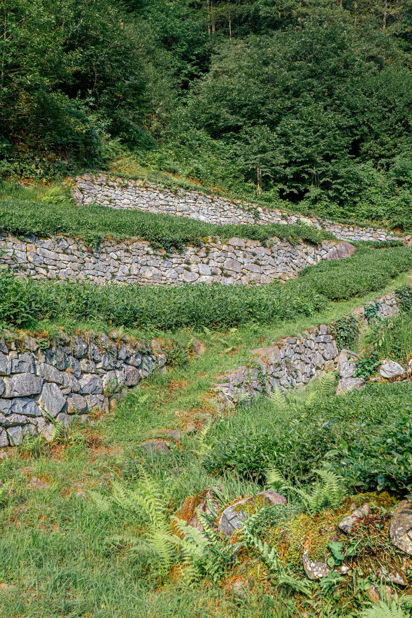 Terraced landscape with tiered stone retaining walls